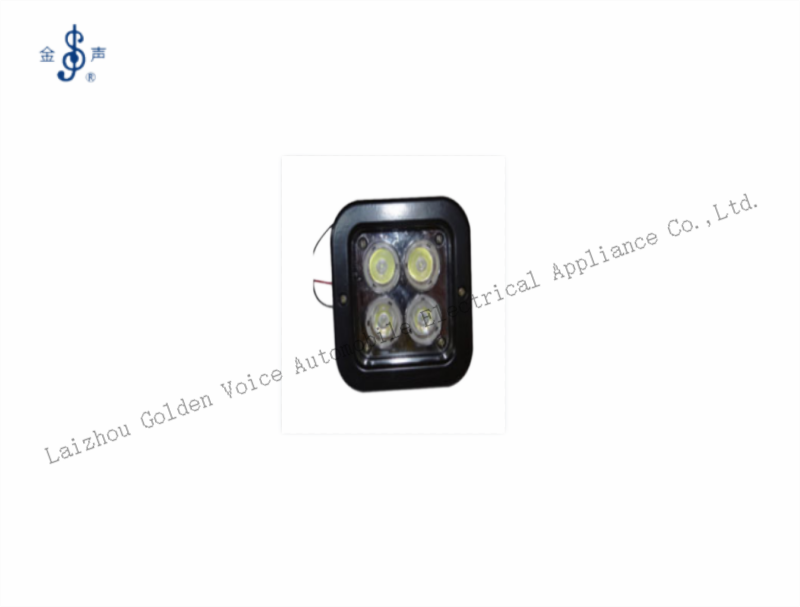 Work Light DL171A-4 Product Details